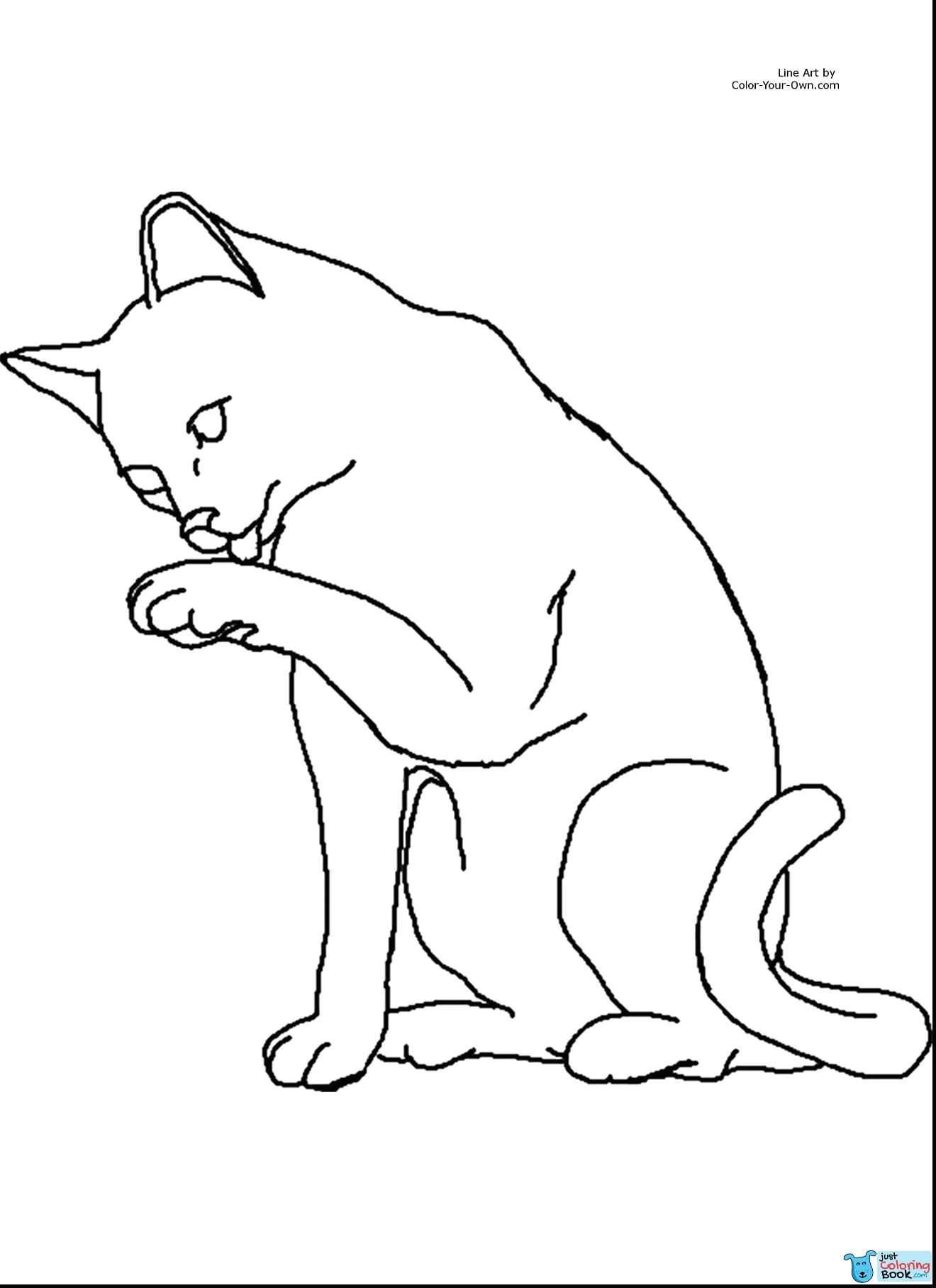 Cats Coloring Cellarpaperco Regarding Smart Cat Coloring Pages Desenhos De Gatos Desenho Desenhos