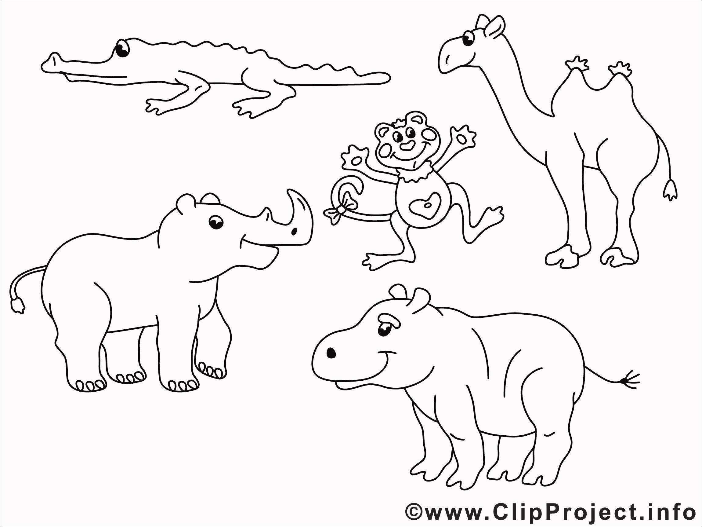 Frisch Malvorlagen Tiere Bauernhof Kostenlos Cat Coloring Book Zoo Coloring Pages Coloring Pictures Of Animals