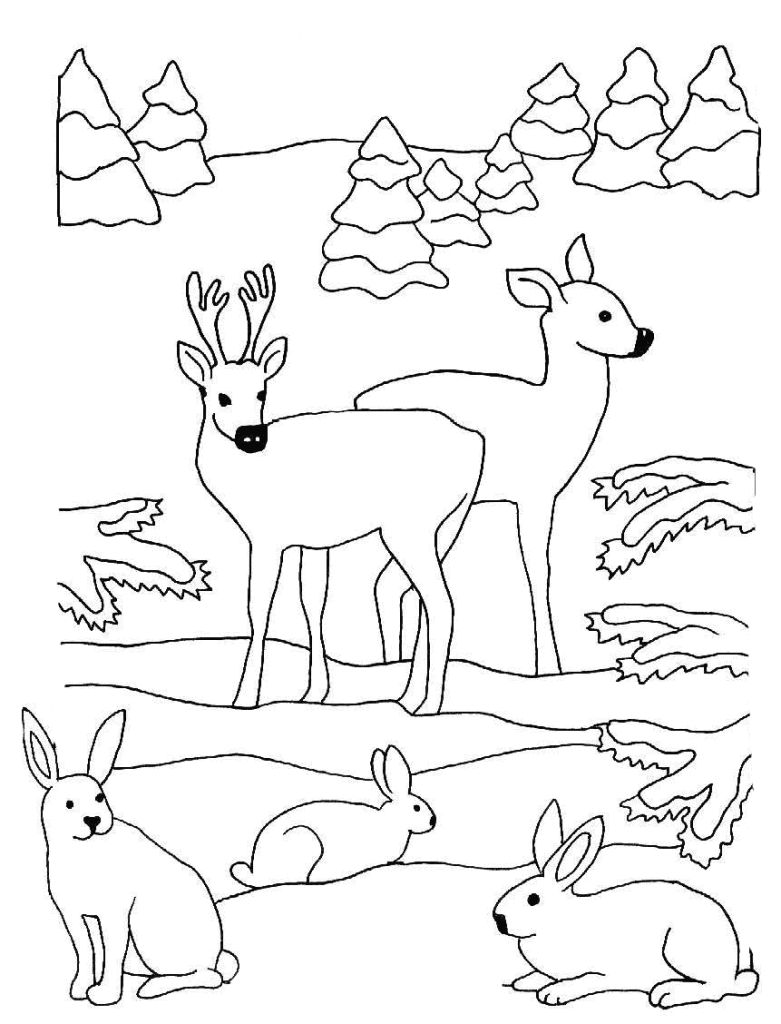 Hirsche Und Hasen Im Wald Winterbilder Coloring Pages Embroidery Patterns Deer Quilt