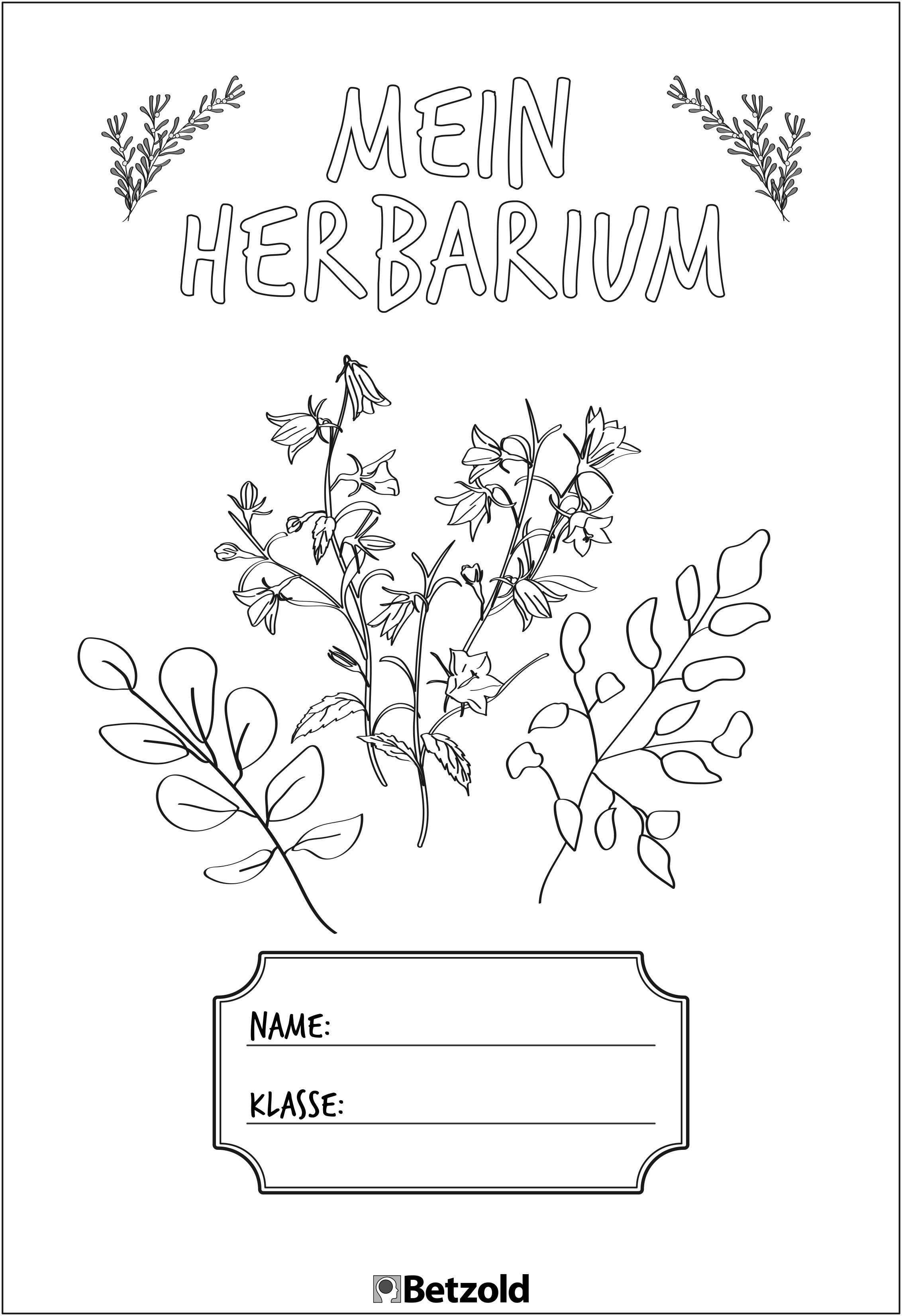 Herbarium Deckblatt Vorlage